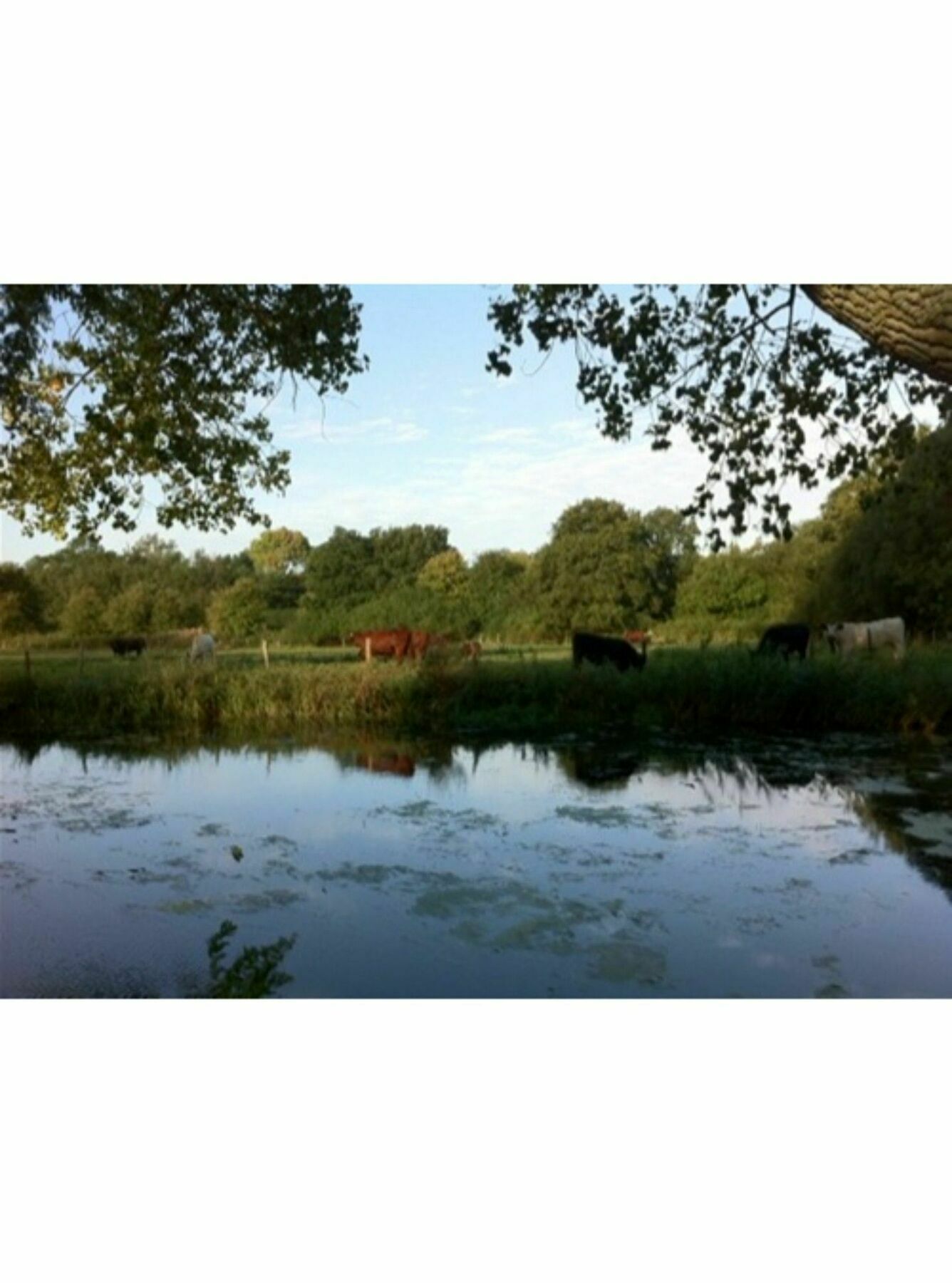 Long Melford Accommodation, Old Stables Bagian luar foto