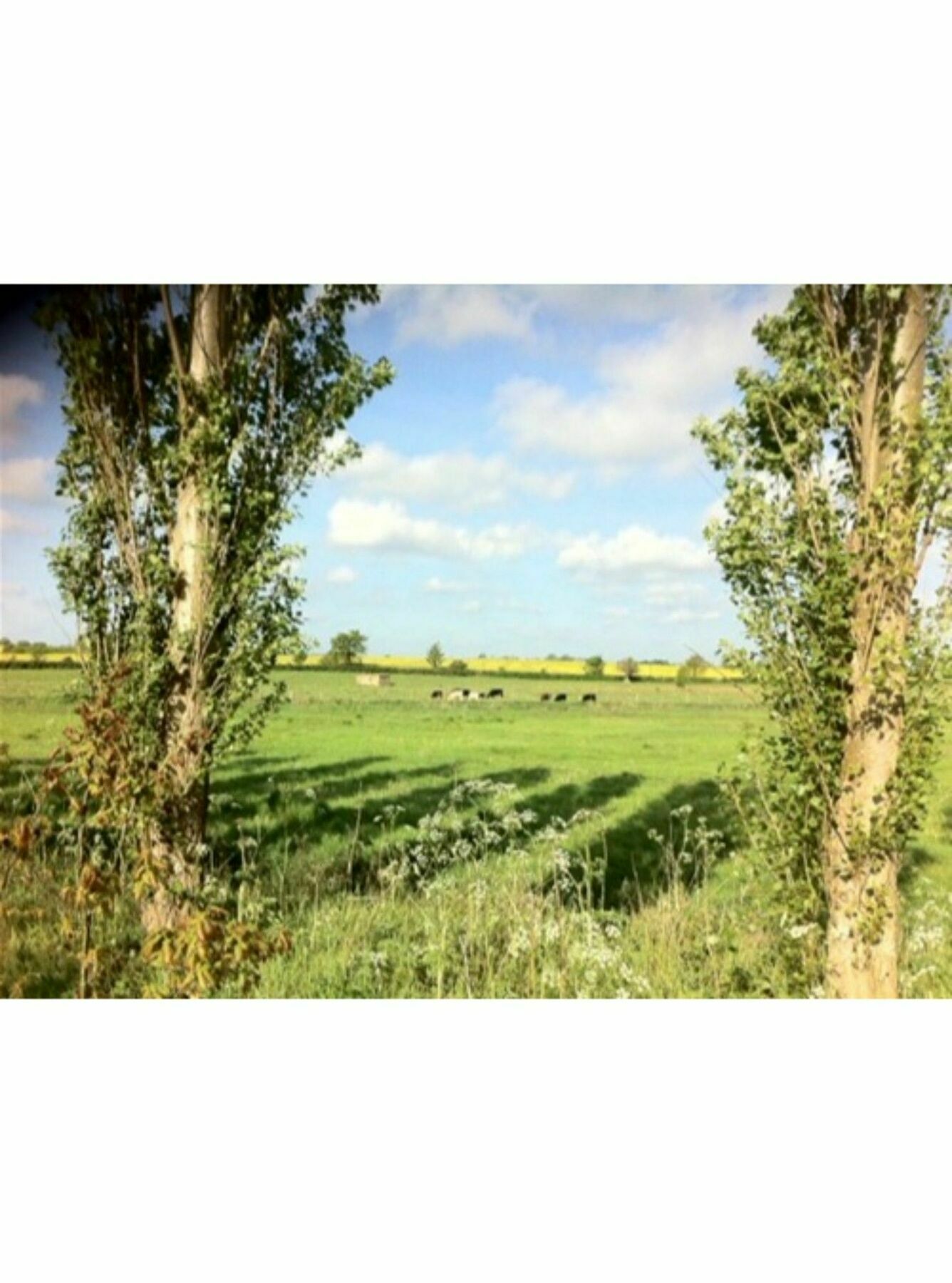 Long Melford Accommodation, Old Stables Bagian luar foto